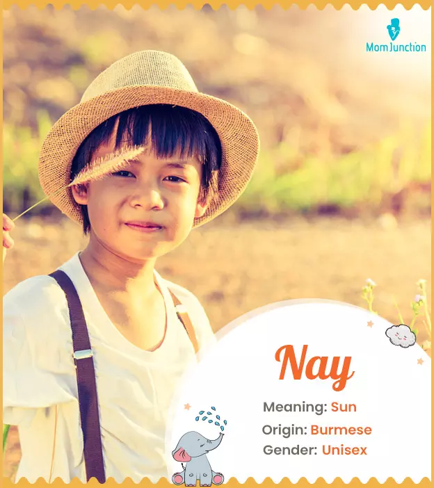 Nay: Name Meaning, Origin, History, And Popularity | MomJunction