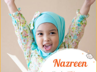 Nazreen means wild rose