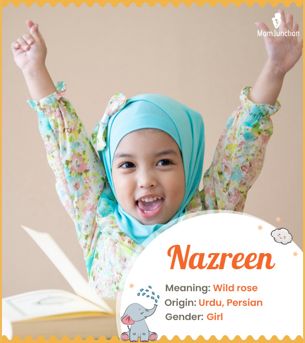 nazreen