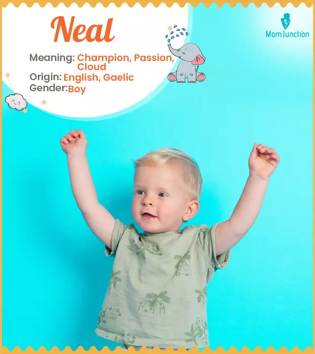 Explore Neal: Meaning, Origin & Popularity | MomJunction