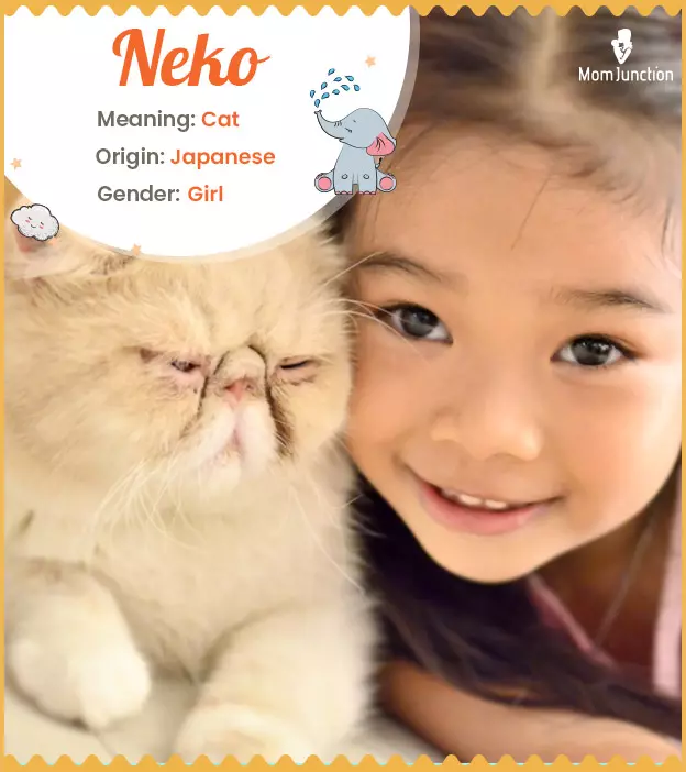 Explore Neko: Meaning, Origin & Popularity | MomJunction