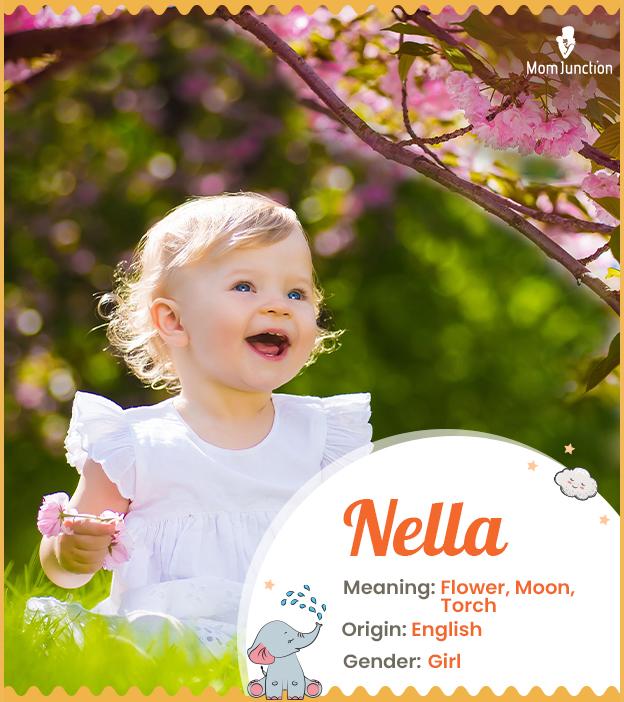 Nella Name, Meaning, Origin, History And Popularity_image