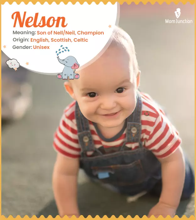 Nelson Name Meaning, Origin, History, And Popularity_image