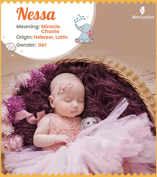 Nessa Name Meaning, Origin, History, And Popularity_image