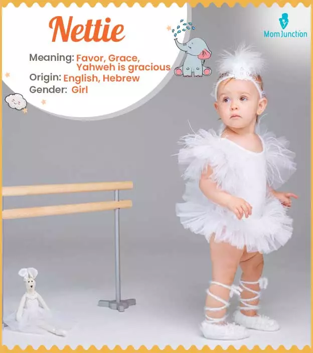 Explore Nettie: Meaning, Origin & Popularity | MomJunction