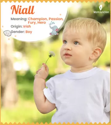 Baby Name niall Meaning, Origin, And Popularity