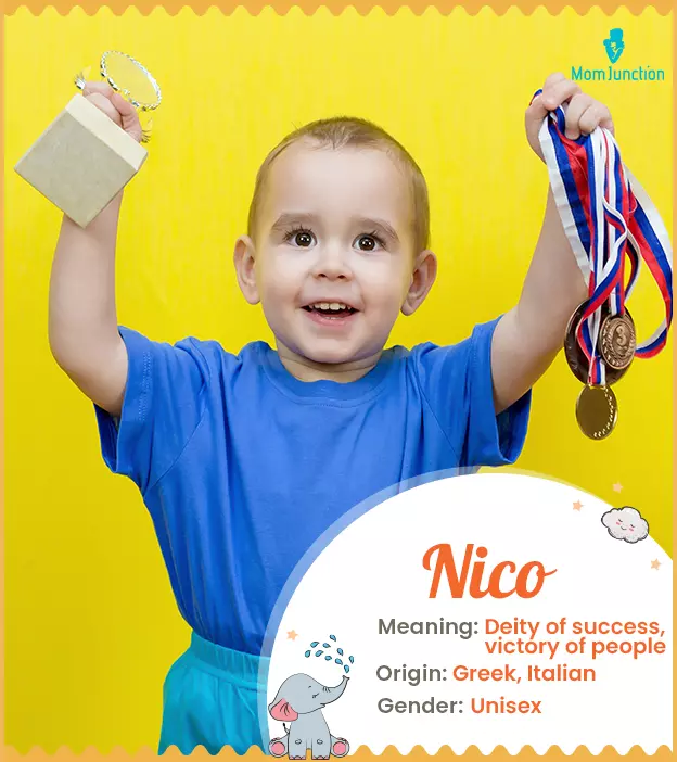 Nico Name Meaning, Origin, History, And Popularity_image