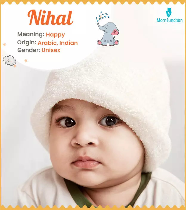 Nihal Name Meaning, Origin, History, And Popularity_image