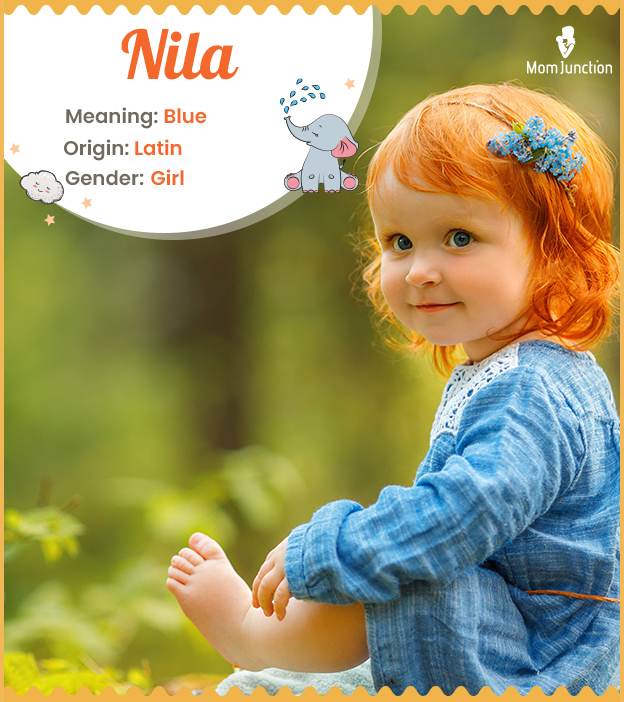 Nila Name Meaning, Origin, History, And Popularity_image