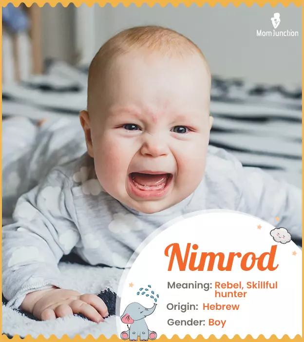 Nimrod Name, Meaning, Origin, History, And Popularity | MomJunction