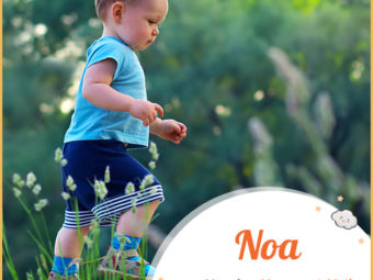 Noa means movement