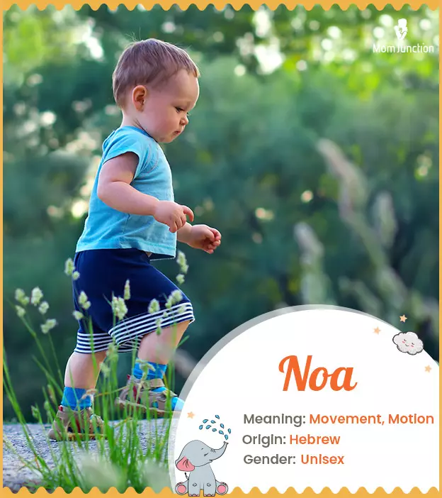 Noa: Name Meaning, Origin, History, And Popularity | MomJunction