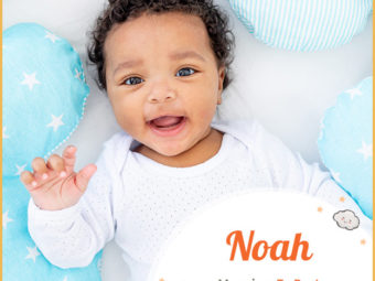 Noah, a sweet Hebrew name Noah, a sweet Hebrew name