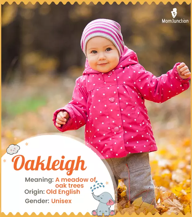 Oakleigh Name, Meaning, Origin, History, And Popularity_image