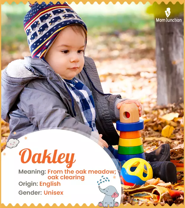 oakley: Name Meaning, Origin, History, And Popularity | MomJunction