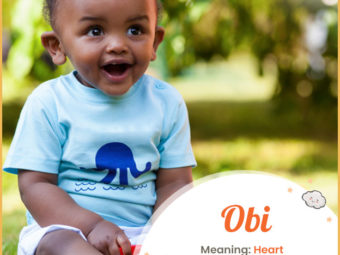 Obi meaning heart