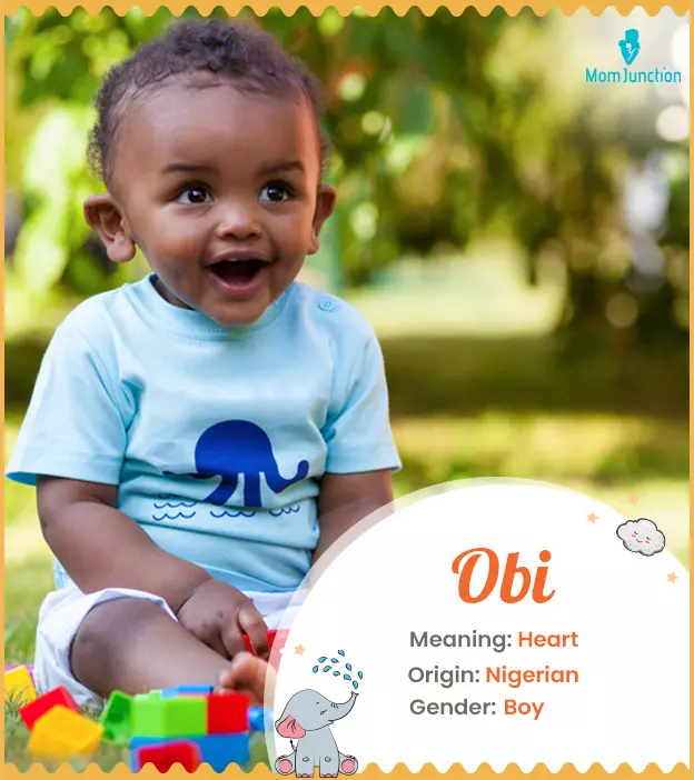 obi: Name Meaning, Origin, History, And Popularity | MomJunction