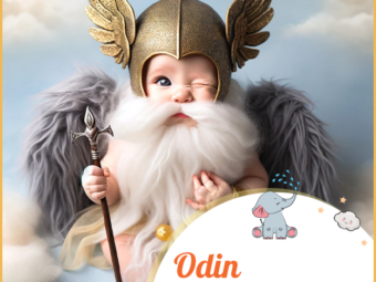 Odin, signifying God of frenzy
