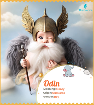 Odin, signifying God of frenzy