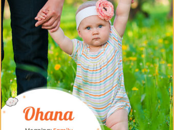 Ohana, meaning family