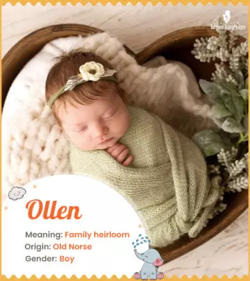 Explore Ollen: Meaning, Origin & Popularity | MomJunction