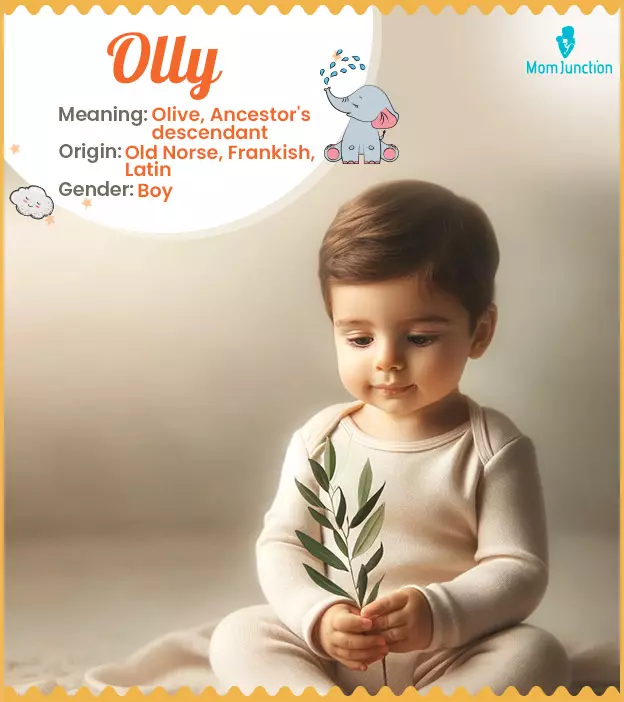 Explore Olly: Meaning, Origin & Popularity_image