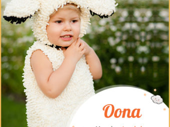 Oona, the fairy girl