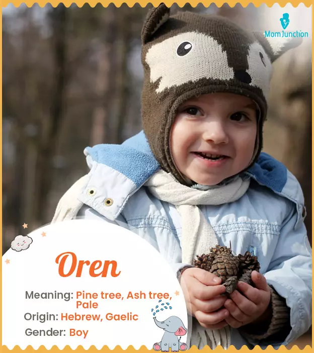 Oren Name Meaning, Origin, History, And Popularity_image