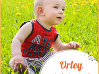 Orley, a beautiful name for boys.