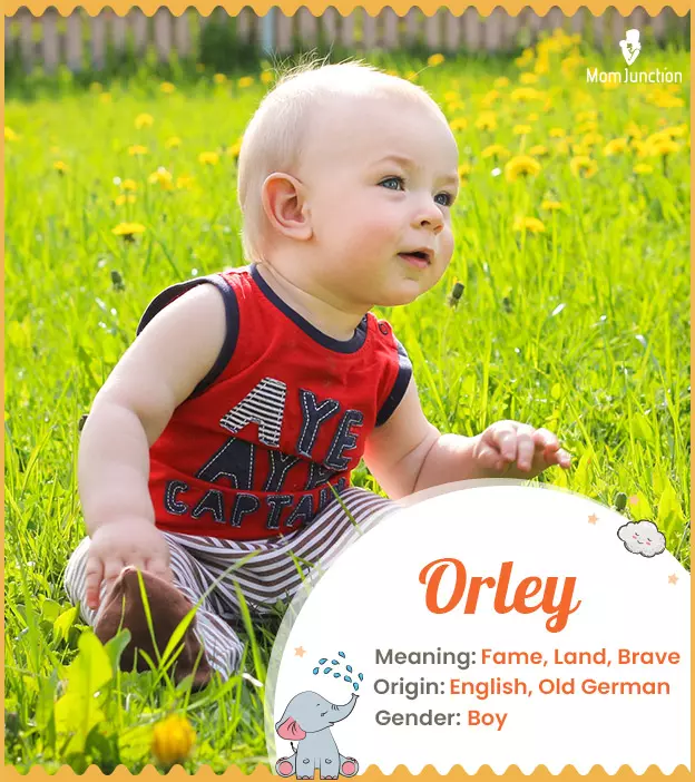 Orley Name, Meaning, Origin, History, And Popularity | MomJunction