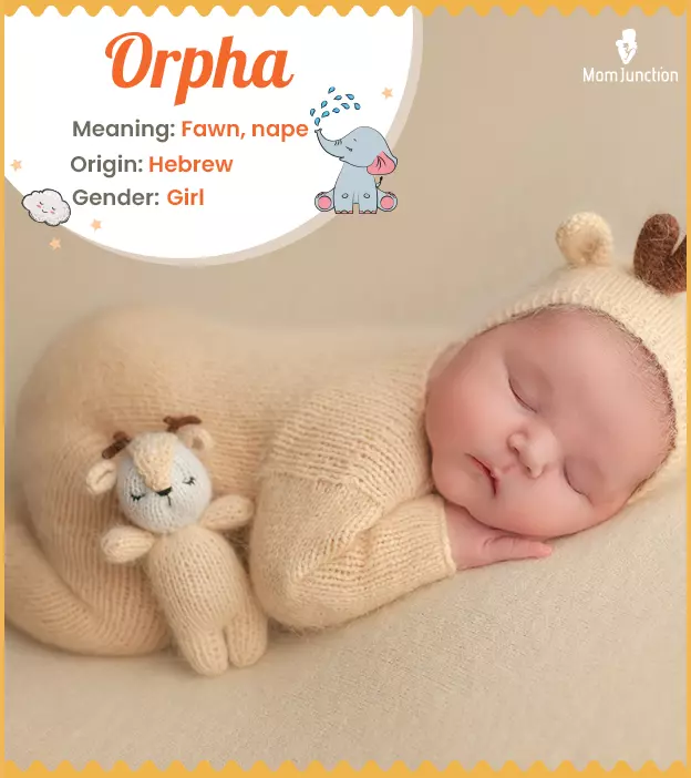 orpha: Name Meaning, Origin, History, And Popularity_image