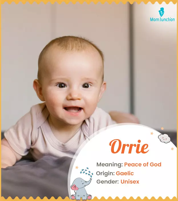 orrie: Name Meaning, Origin, History, And Popularity | MomJunction