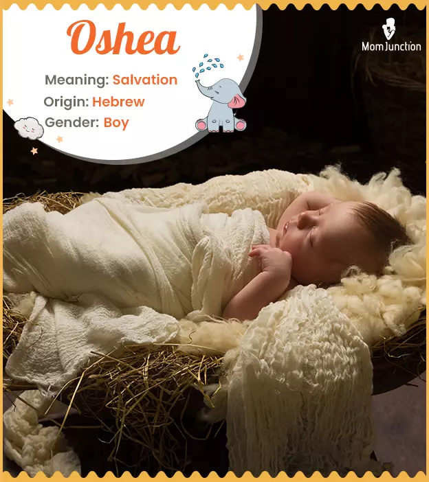 oshea: Name Meaning, Origin, History, And Popularity_image