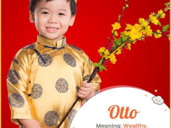 Otto signifies wealth and prosperity