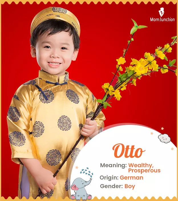 Otto Meaning, Origin, History, And Popularity_image