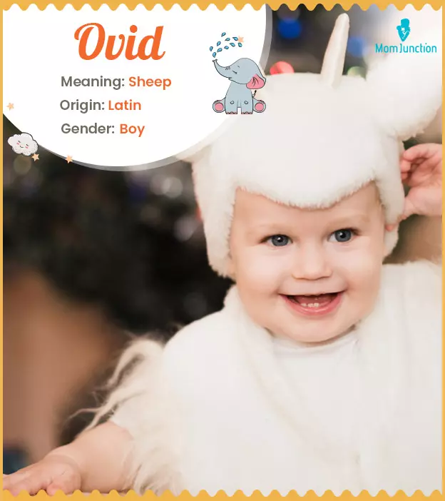 Ovid Name, Meaning, Origin, History, And Popularity | MomJunction