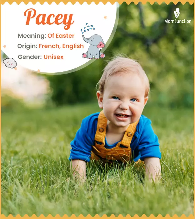 Explore Pacey: Meaning, Origin & Popularity_image