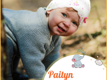 Paityn meaning Pæga
