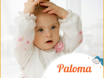 Paloma, as peaceful as the Dove