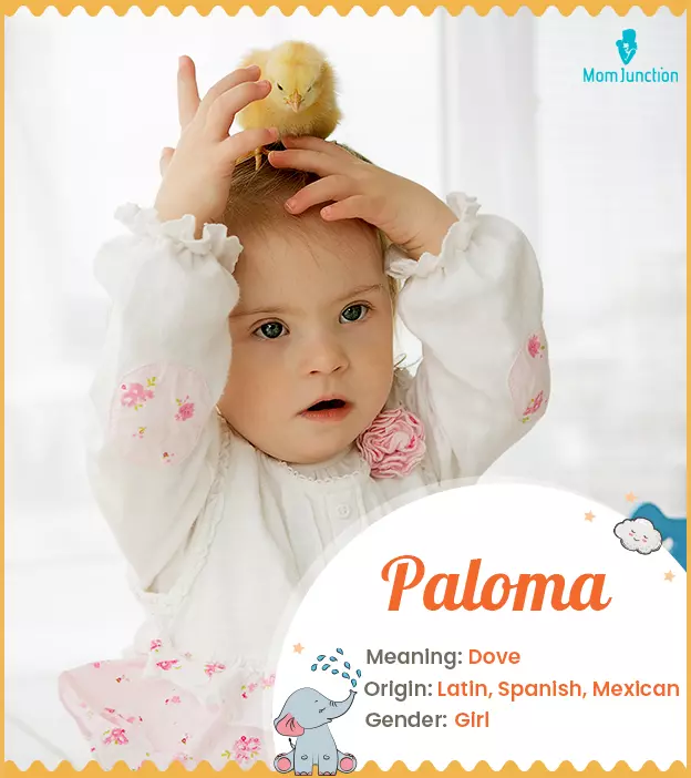 Paloma Name, Origin, Meaning, And History | MomJunction