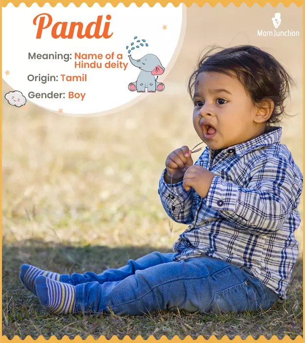 Explore Pandi: Meaning, Origin & Popularity | MomJunction