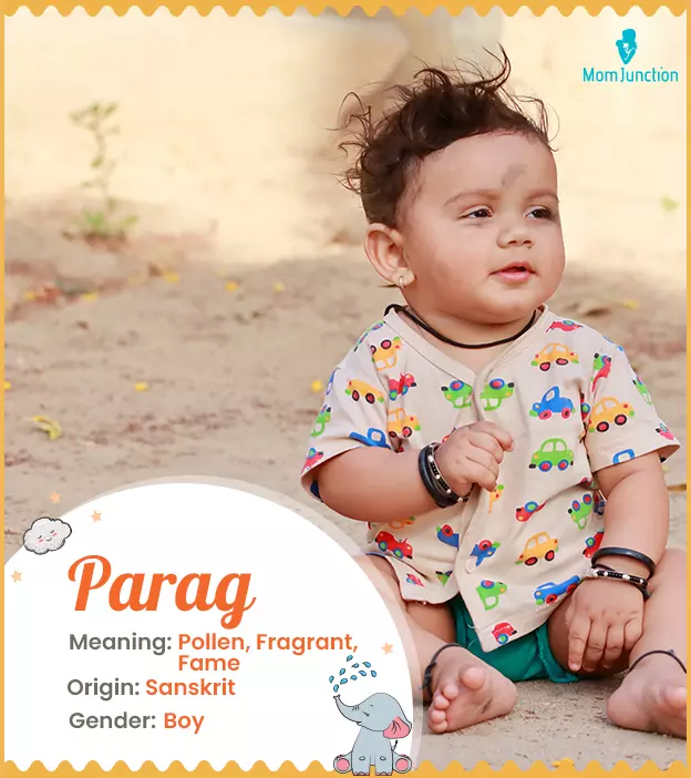 Parag: Name Meaning, Origin, History, And Popularity | MomJunction