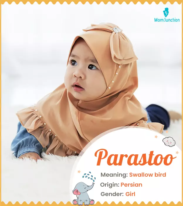 Parastoo Name Meaning, Origin, History, And Popularity_image