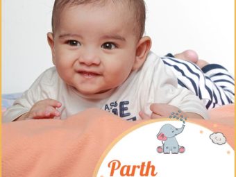 Parth refers to a prince