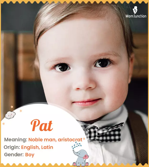 pat: Name Meaning, Origin, History, And Popularity_image