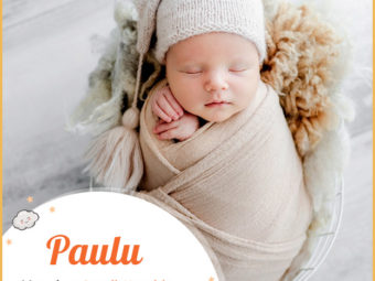 Paulu, meaning small and humble