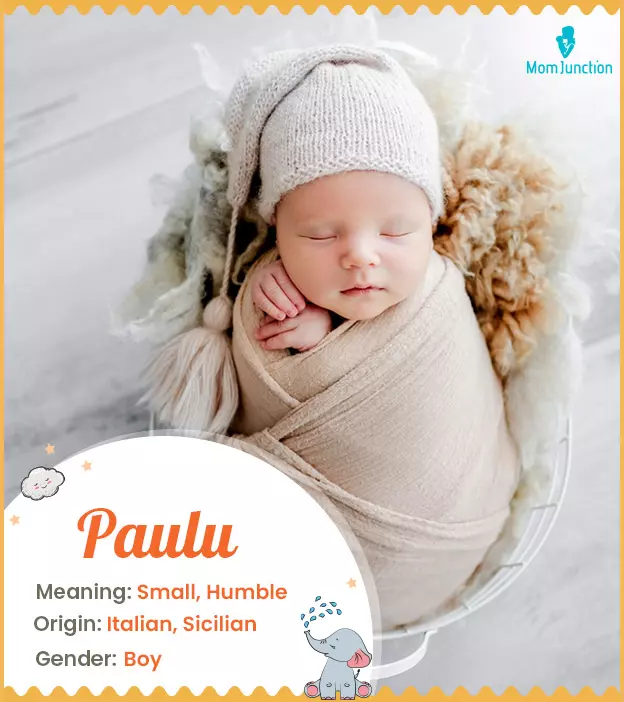 Paulu Name, Meaning, Origin, History And Popularity_image