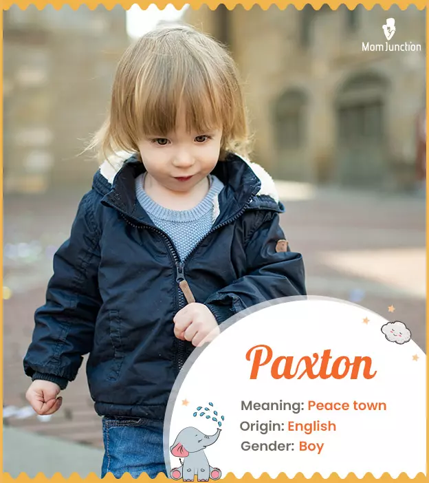 paxton: Name Meaning, Origin, History, And Popularity | MomJunction