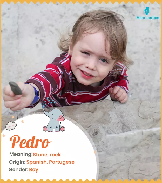 Pedro Name Meaning, Origin, History, And Popularity_image