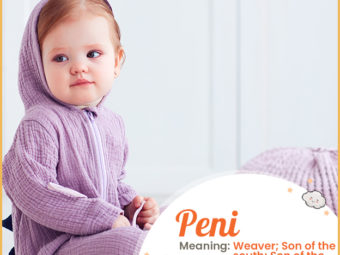 Peni, meaning weaver